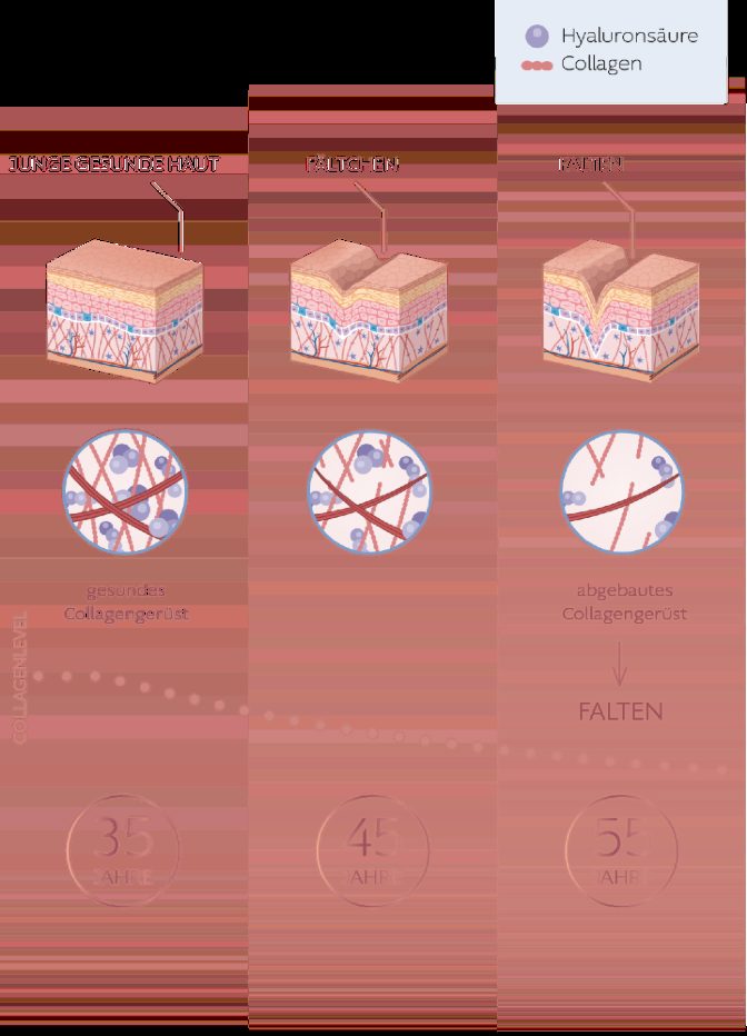 Collagen System 3.0 Trinkampullen