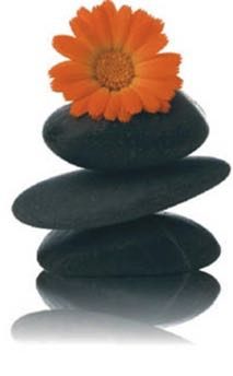 Massagesteine mit Blüte